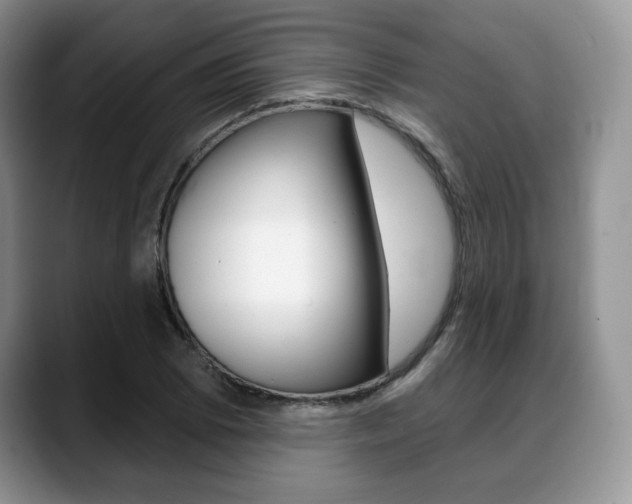 X0000088871073200706080716