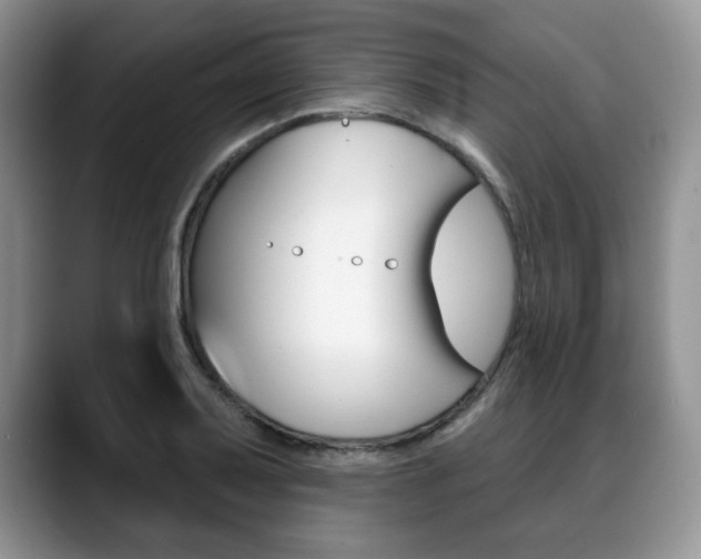 X0000088871079200706080716