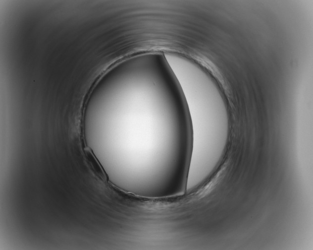 X0000088871081200706080716