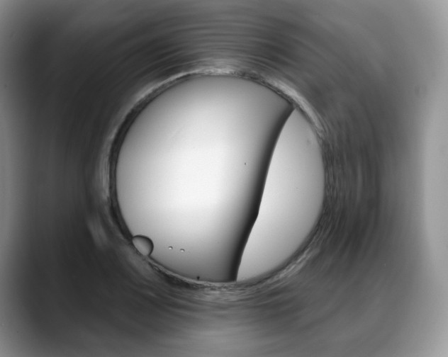 X0000088871083200706080716
