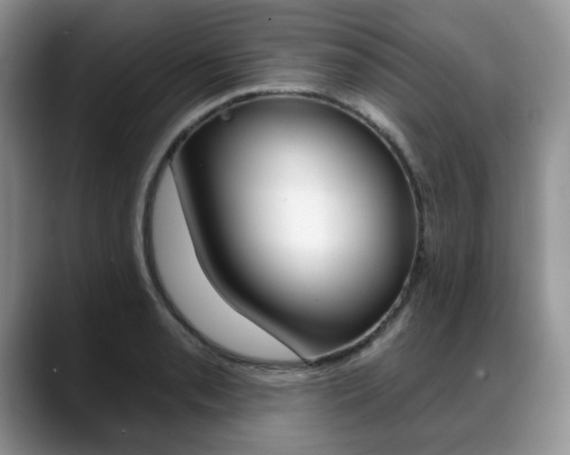 X0000088871085200706080716