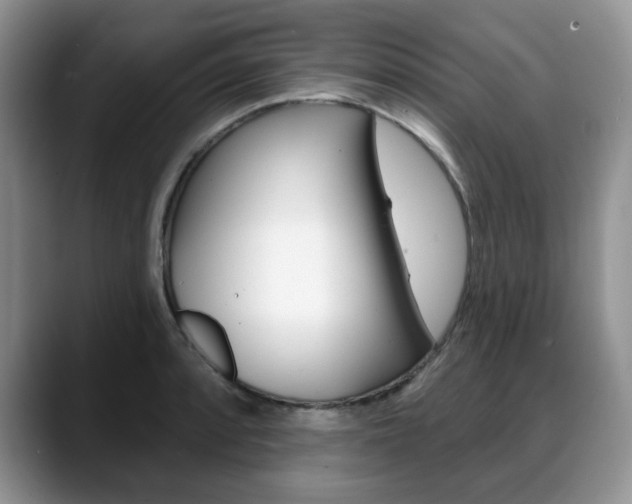 X0000088871088200706080716