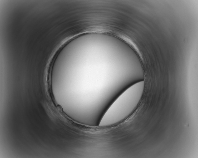 X0000088871091200706080716
