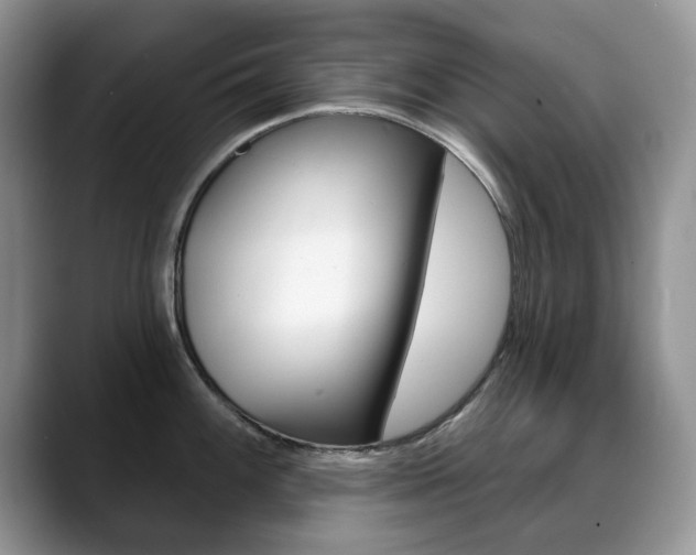X0000088871100200706080716