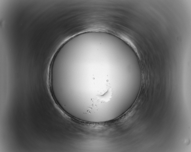 X0000088871103200706080716