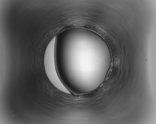 X0000088871108200706080715