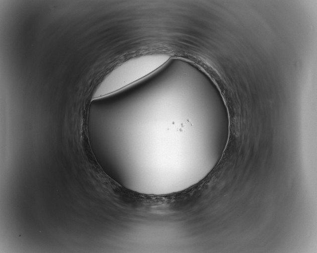 X0000088871111200706080715
