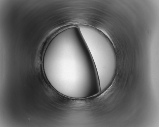 X0000088871115200706080715