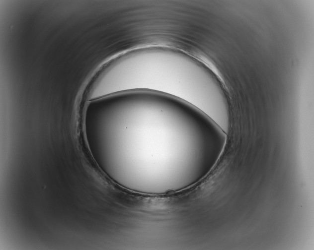 X0000088871116200706080715