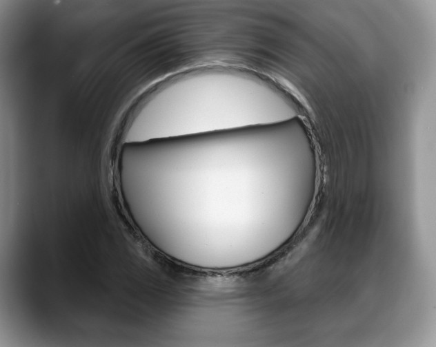 X0000088871117200706080715
