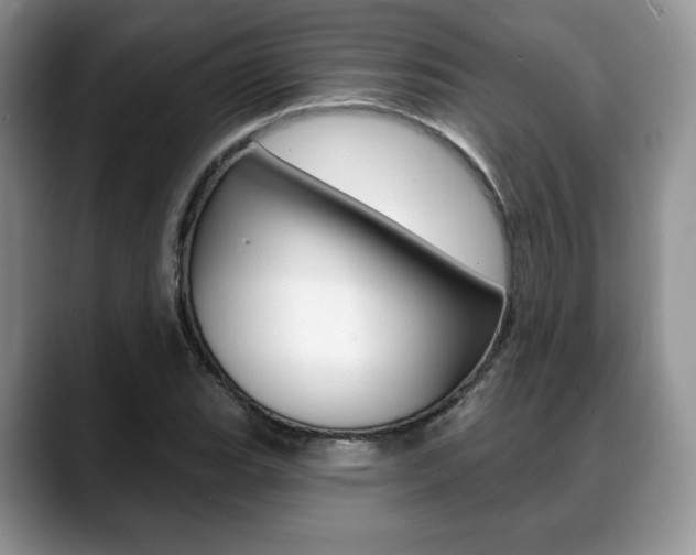 X0000088871119200706080715