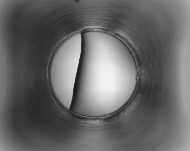 X0000088871121200706080715
