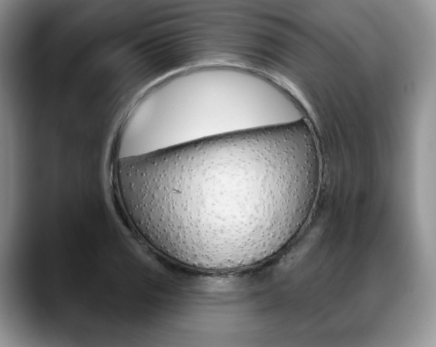 X0000088871125200706080715