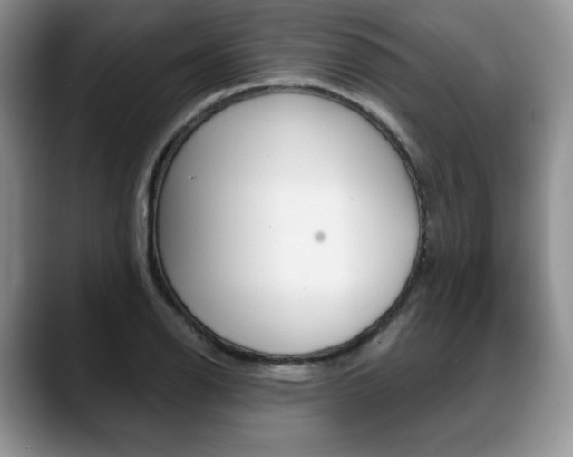 X0000088871126200706080715