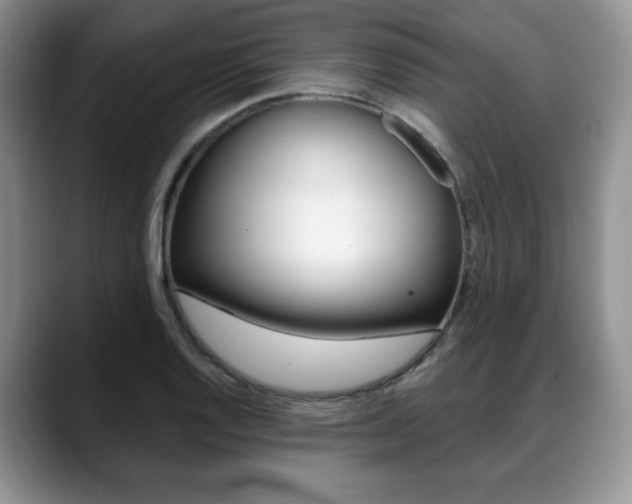 X0000088871128200706080715
