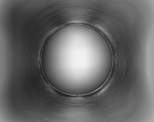 X0000088871129200706080715
