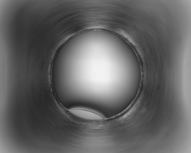 X0000088871137200706080716