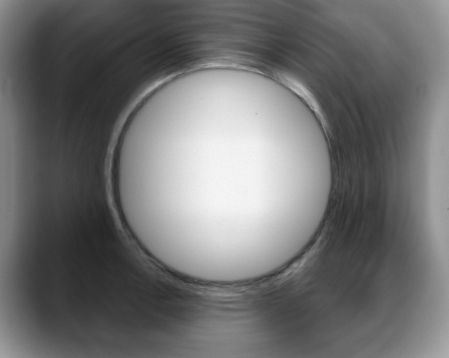 X0000088871138200706080716