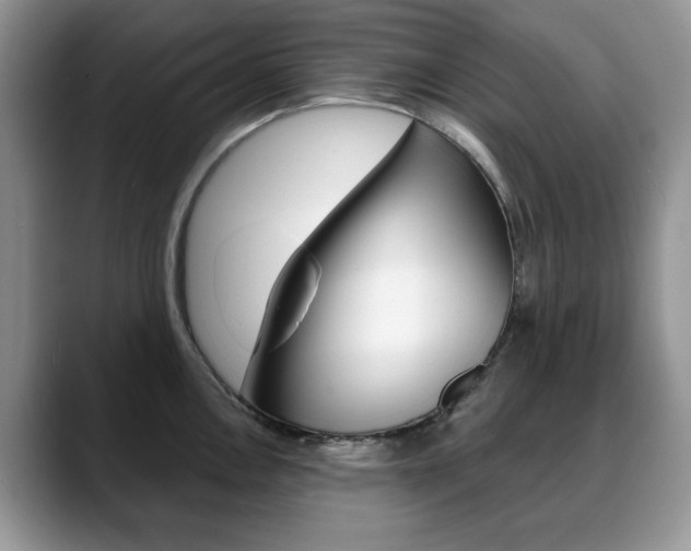 X0000088871146200706080716