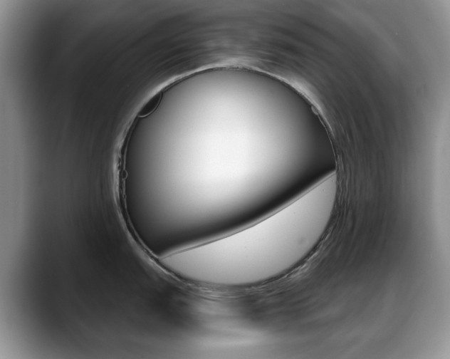 X0000088871151200706080716