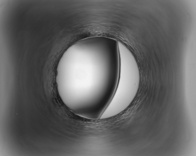 X0000088871153200706080715
