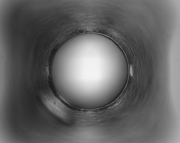 X0000088871155200706080715