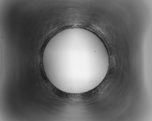 X0000088871158200706080715