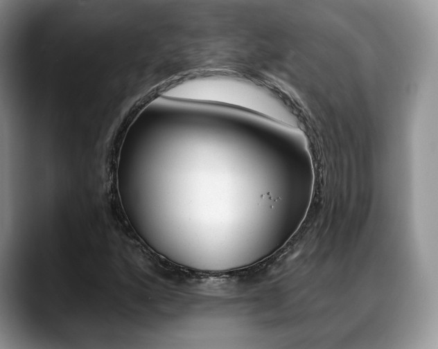 X0000088871160200706080715