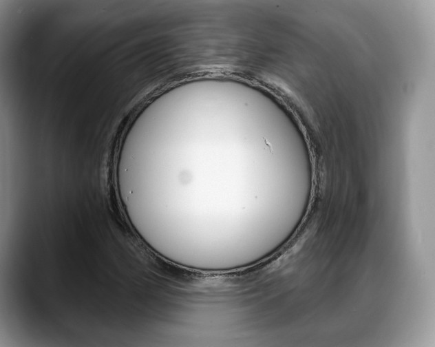 X0000088871162200706080715
