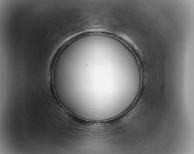 X0000088871167200706080715