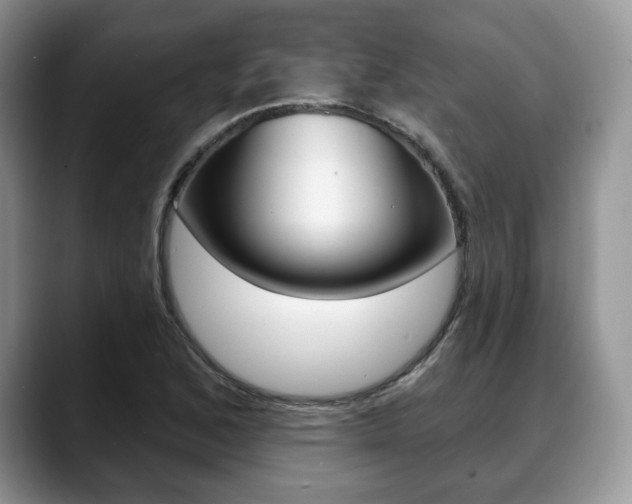 X0000088871168200706080715