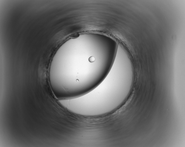 X0000088871169200706080715