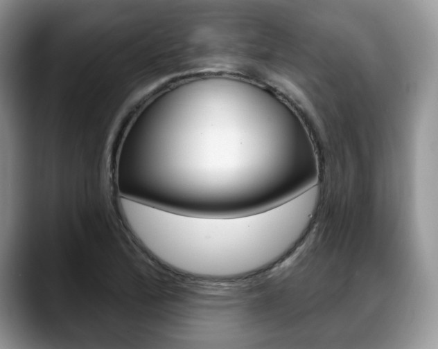 X0000088871172200706080715