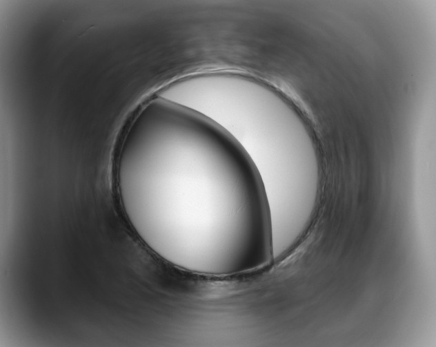 X0000088871173200706080715