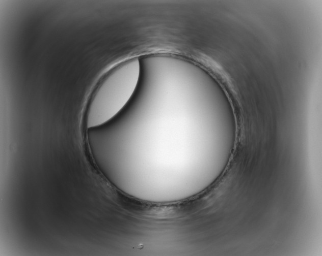 X0000088871174200706080715