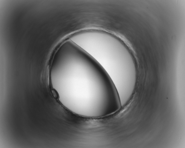 X0000088871175200706080715
