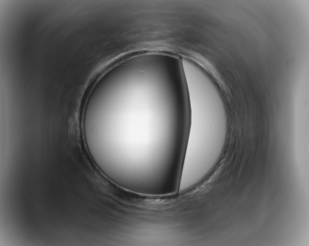 X0000088871176200706080715