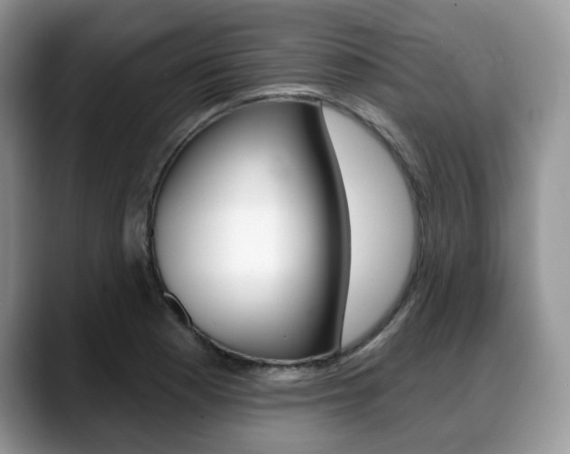 X0000088871177200706080715