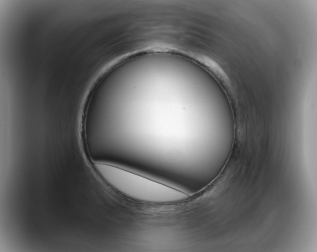 X0000088871183200706080715