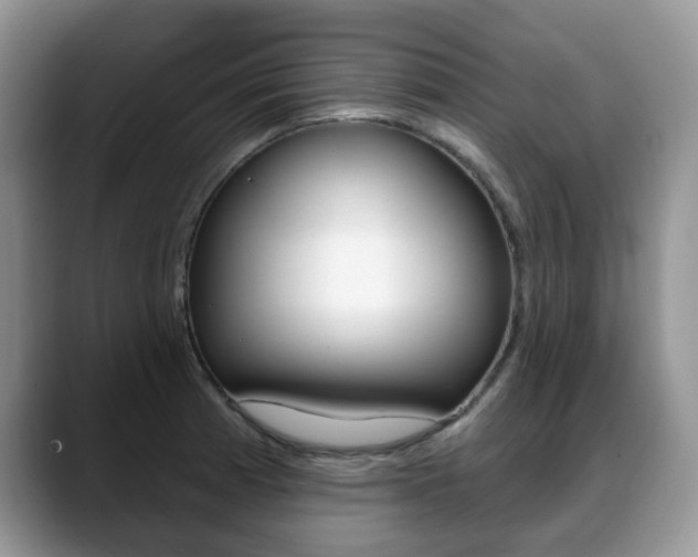 X0000088871185200706080715