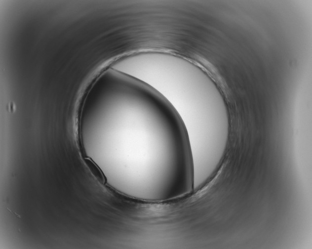 X0000088871188200706080715