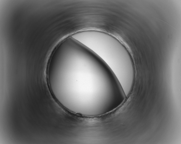 X0000088871189200706080715