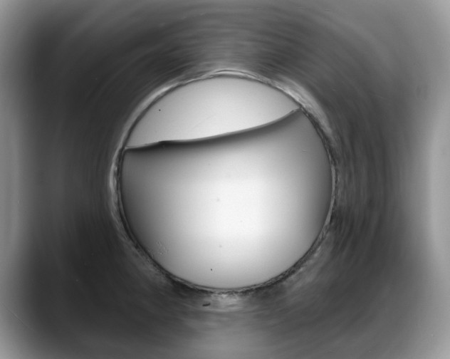 X0000088871190200706080715