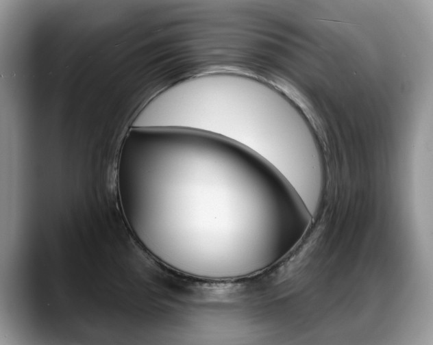 X0000088871193200706080715