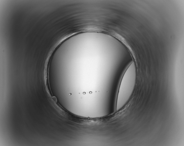 X0000088871195200706080715