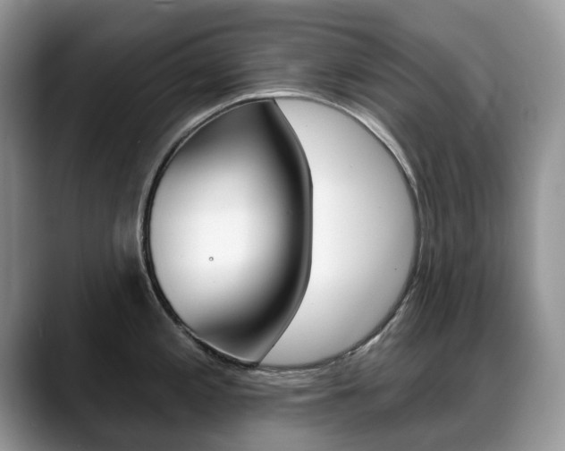 X0000088871197200706080715