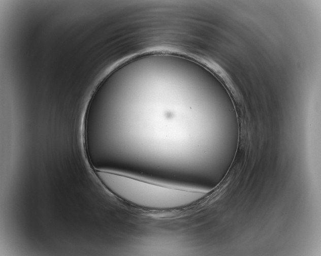 X0000088871199200706080714