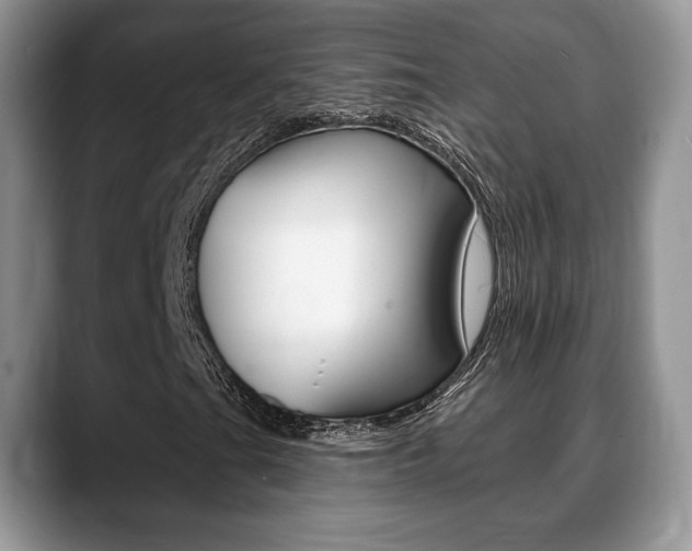 X0000088871201200706080714