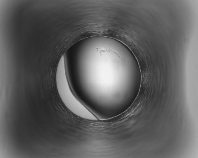 X0000088871202200706080714