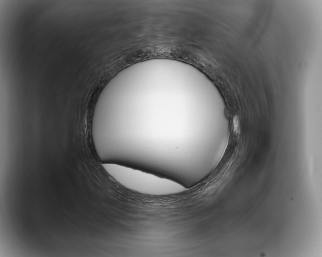 X0000088871203200706080714